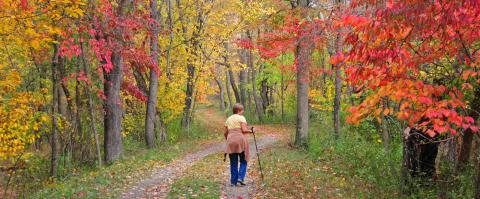 The Awesome Hike That Will Take You To The Most Spectacular Fall Foliage In Maryland