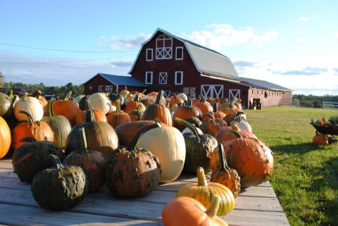 Visit These 7 Charming Farms In Rhode Island For Endless Fall Fun