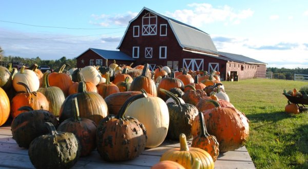 Visit These 7 Charming Farms In Rhode Island For Endless Fall Fun