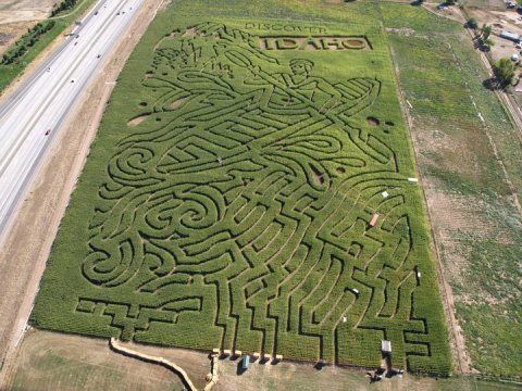 Get Lost In This Awesome 18-Acre Corn Maze In Idaho This Autumn