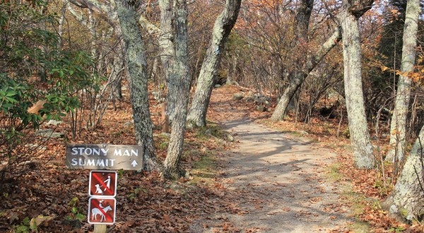 The Awesome Hike That Will Take You To The Most Spectacular Fall Foliage In Virginia