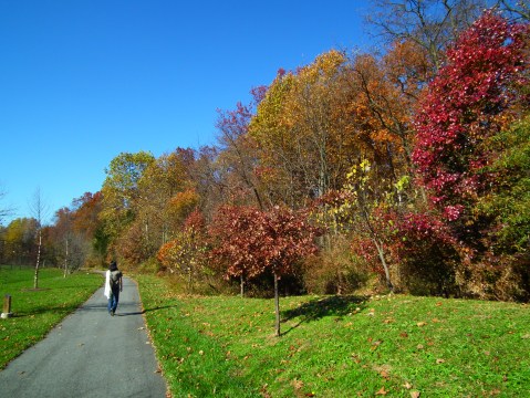 You'll Be Happy To Hear That Maryland's Fall Foliage Is Expected To Be Bright And Bold This Year