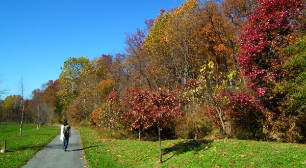 You’ll Be Happy To Hear That Maryland’s Fall Foliage Is Expected To Be Bright And Bold This Year