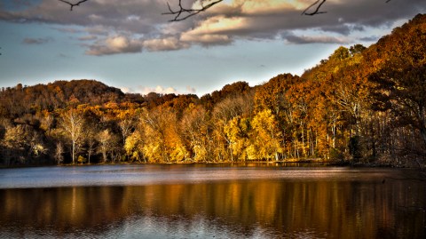 This Easy Fall Hike In Tennessee Is Under 2 Miles And You'll Love Every Step You Take