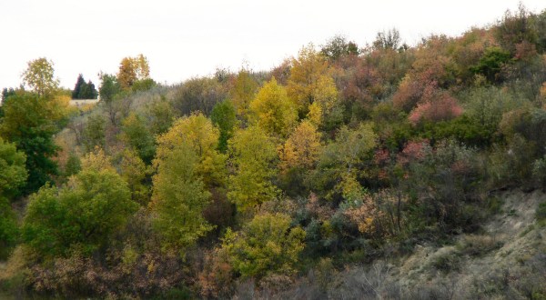Fall Is Coming And These Are The 7 Best Places To See The Changing Leaves In North Dakota