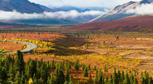 You’ll Be Happy To Hear That Alaska’s Fall Foliage Is Expected To Be Bright And Bold This Year
