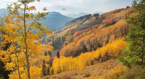 Fall Is Coming  And These Are The 9 Best Places To See The Changing Leaves In Utah