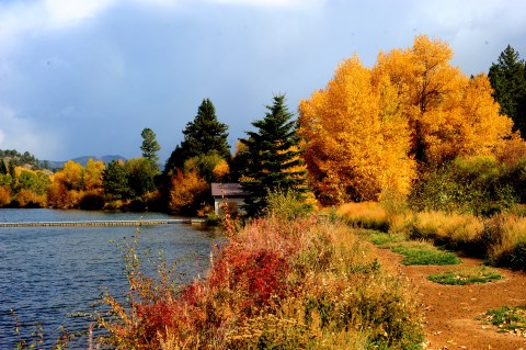 You'll Be Happy To Hear That Colorado's Fall Foliage Is Expected To Be Early And Bright This Year