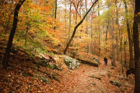 This Easy Fall Hike In Kentucky Is Under 2 Miles And You'll Love Every Step You Take
