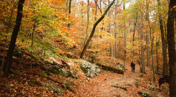 This Easy Fall Hike In Kentucky Is Under 2 Miles And You’ll Love Every Step You Take