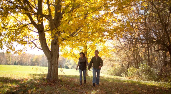 Fall Is Coming And These Are The 10 Best Places To See The Changing Leaves In Massachusetts