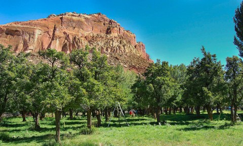 Stroll Through The Apple Orchards At This Majestic National Park In Utah