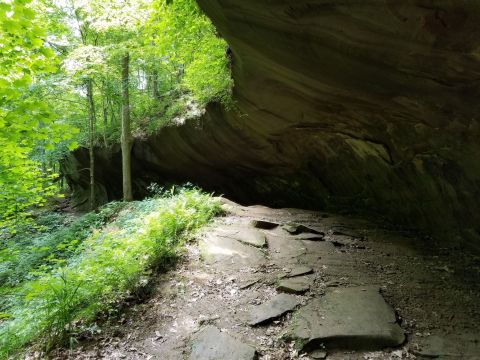 This Deep Woods Trail In Indiana Is Home To A Unique Natural Attraction You Need To See