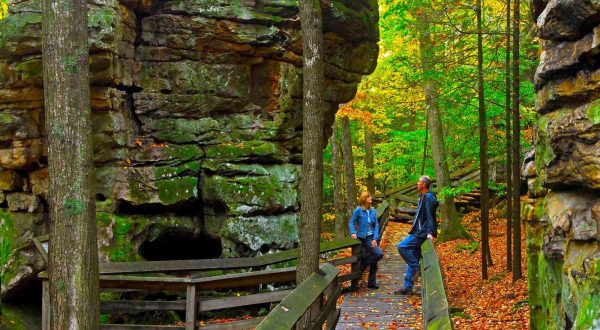 You Can’t Afford To Miss These 11 Free Activities In West Virginia
