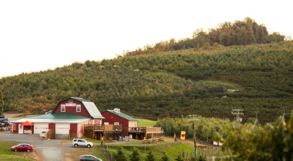 This Mountain Top Orchard In Virginia Is The Perfect Place To Spend An Autumn Day