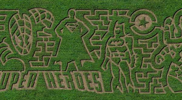 Get Lost In This Awesome 6-Acre Corn Maze In Delaware This Autumn