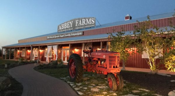 This 40-Acre Pumpkin Farm In Illinois Is The Classic Fall Experience You Need