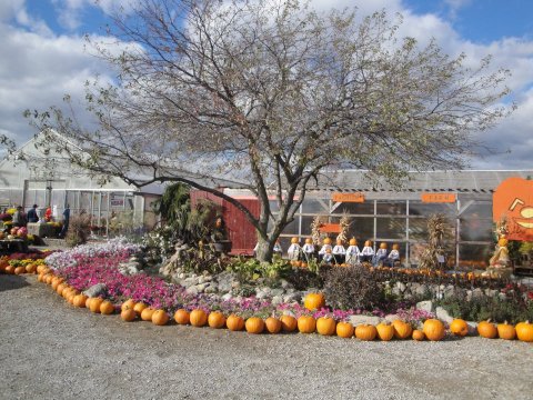 The Enchanting Farm Restaurant You Must Visit In Indiana This Fall