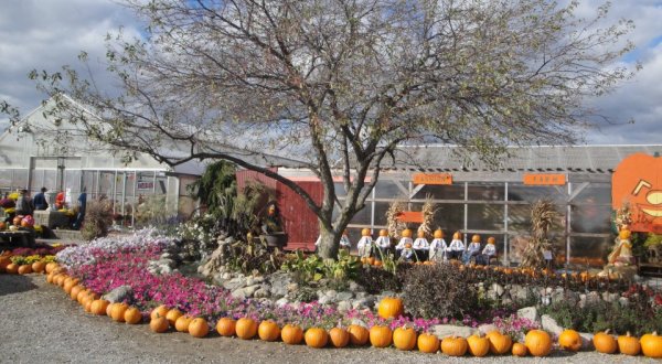 The Enchanting Farm Restaurant You Must Visit In Indiana This Fall
