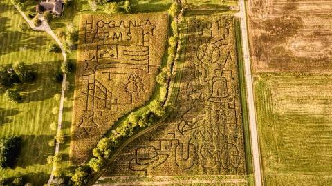 This Fall Farm In Indiana Has The Most Unique Corn Maze In The State
