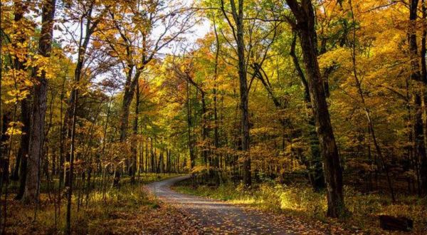 The Enchanting Halloween Hike In Illinois Your Whole Family Will Love