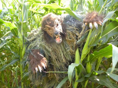 This Creepy Corn Maze In Indiana Will Haunt Your Dreams