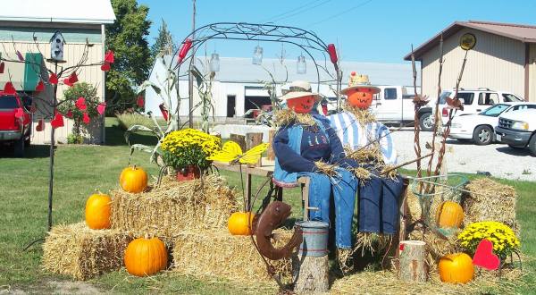 This Small Town In Illinois Transforms Into A Scarecrow Wonderland Each Year