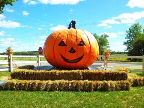 This Spectacular Fall Farm In Illinois Is Home To The Midwest's Largest Pumpkin
