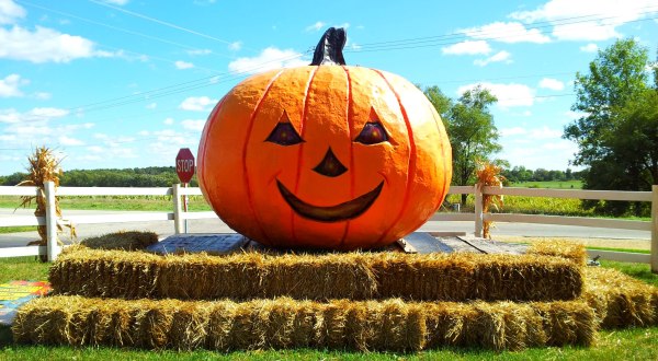 This Spectacular Fall Farm In Illinois Is Home To The Midwest’s Largest Pumpkin