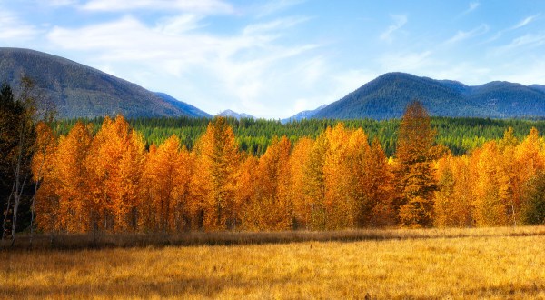 You’ll Be Happy To Hear That Montana’s Fall Foliage Is Expected To Be Bright And Bold This Year