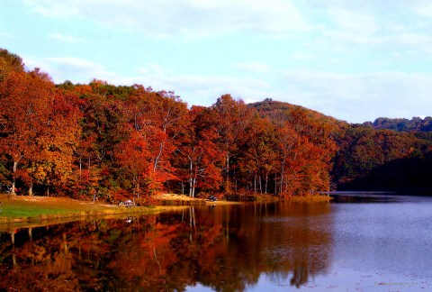 You'll Be Happy To Hear That Indiana'a Fall Foliage Is Expected To Be Bright And Bold This Year