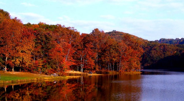 You’ll Be Happy To Hear That Indiana’a Fall Foliage Is Expected To Be Bright And Bold This Year