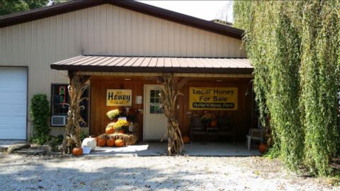 There's A Honey Farm In Indiana That Offers The Sweetest Tours In The State