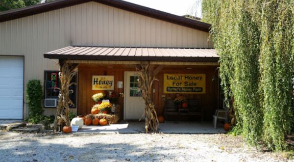 There’s A Honey Farm In Indiana That Offers The Sweetest Tours In The State