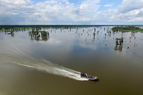 Experience The Louisiana Swamp Like Never Before With This Unforgettable Airboat Tour