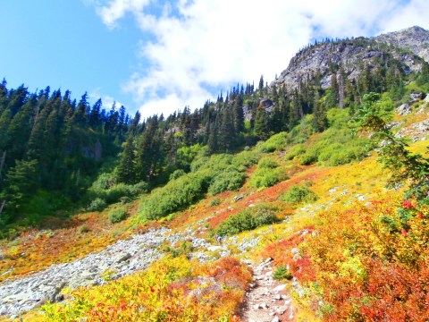 If You Can Only Hike 1 Washington Trail This Fall, You'll Want To Make It This One