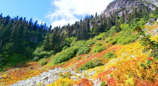 If You Can Only Hike 1 Washington Trail This Fall, You’ll Want To Make It This One