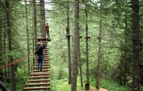 The Treetop Trail That Will Show You A Side Of Oregon You've Never Seen Before
