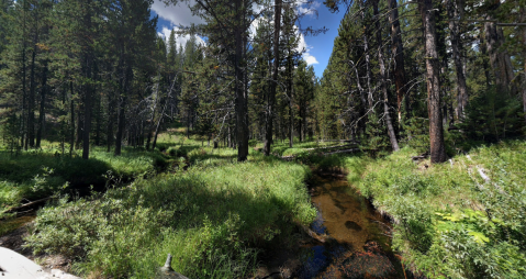 The Shady, Creekside Trail In Wyoming You'll Want To Hike Again And Again