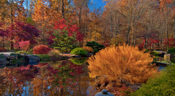 Nothing Says Fall Is Here More Than A Visit To Georgia’s Charming Maple Garden