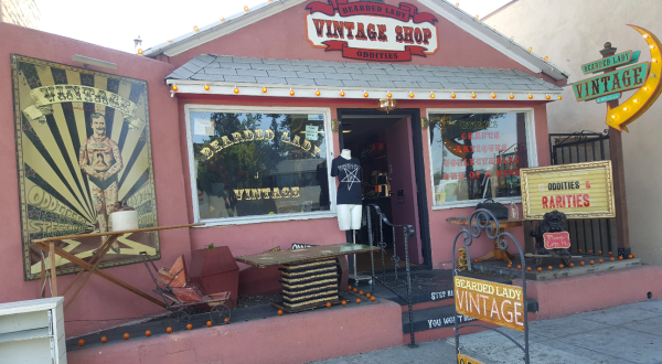 The Most Whimsical Shop In Southern California Is Filled With Tons Of Oddities And Treasures