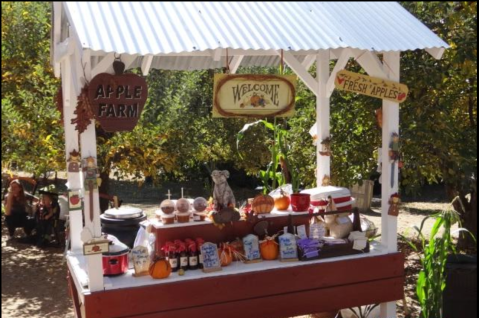 Nothing Says Fall Is Here More Than A Visit To Southern California's Charming Apple Farm
