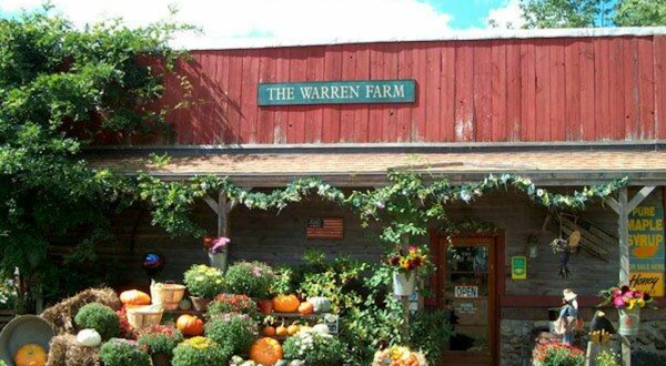 Nothing Says Fall Is Here More Than Massachusetts’ Charming Maple Farm