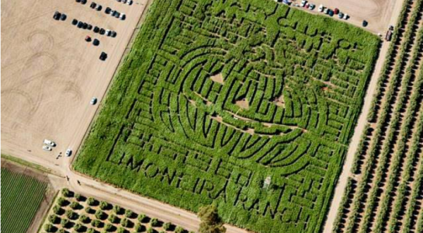 Get Lost In This Awesome 5-Acre Corn Maze In Southern California This Autumn