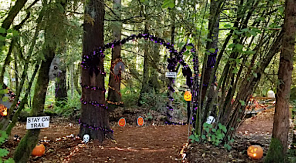 Take This Halloween Trail In Oregon For A Fall You’ll Never Forget