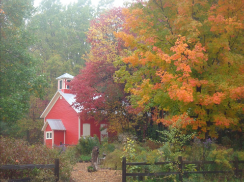 This Easy Fall Hike In Michigan Is Under 2 Miles And You'll Love Every Step You Take