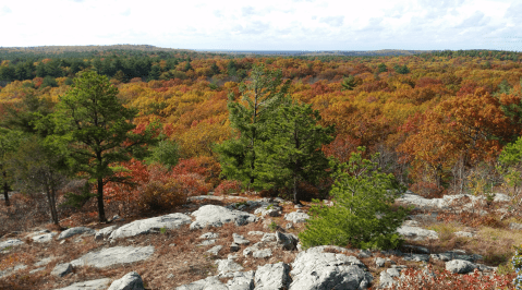 This Easy Fall Hike In Massachusetts Is Under 2 Miles And You'll Love Every Step You Take