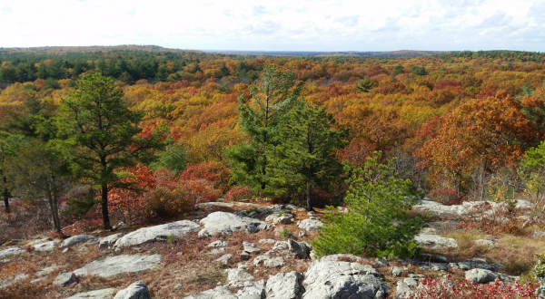 This Easy Fall Hike In Massachusetts Is Under 2 Miles And You’ll Love Every Step You Take