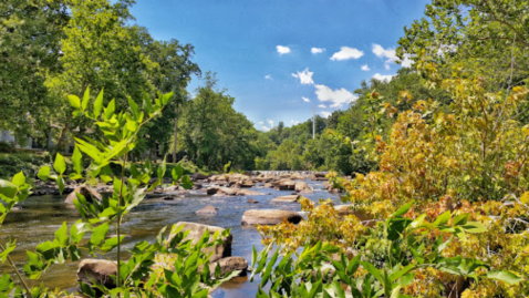 This Easy Fall Hike In Delaware Is Under 2 Miles And You'll Love Every Step You Take