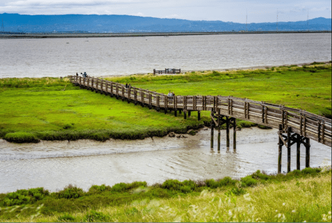 The Country's First Wildlife Refuge Is In Northern California And It's Paradise